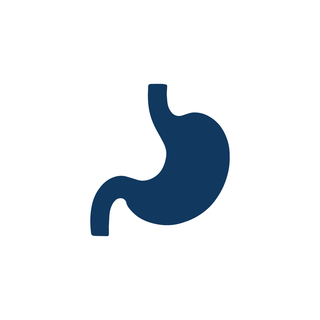 Degestive & Metabolic Health icon